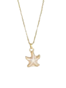 Collar estrella mar