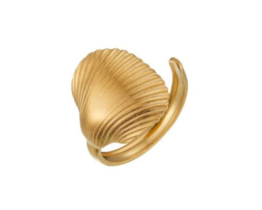 Anillo estilo marino concha