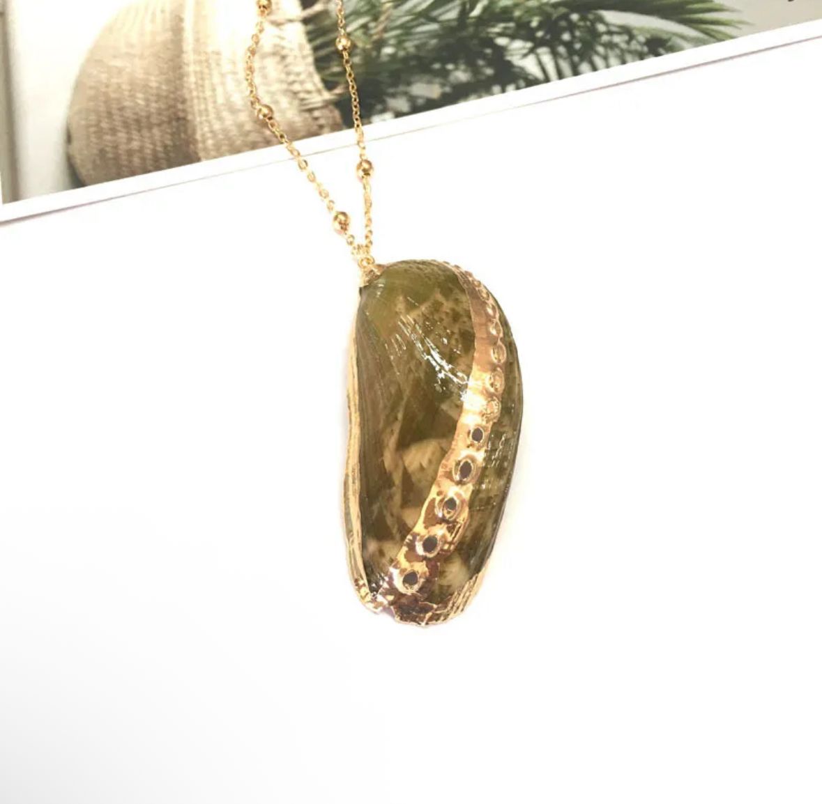 Collar concha grande natural